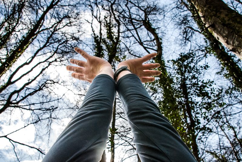 Le point de vue en photographie-contre-plongée-mains tendues vers la cime des arbres