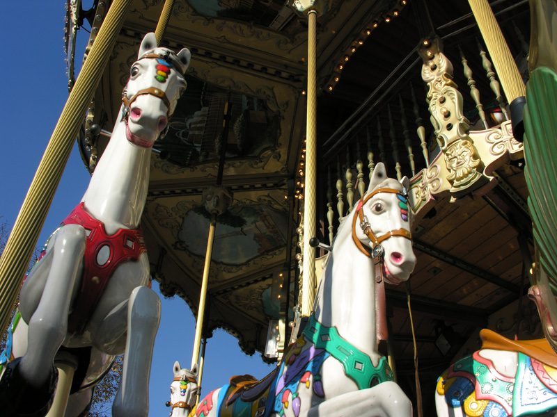 Le point de vue en photographie-contre-plongée-chevaux de manège