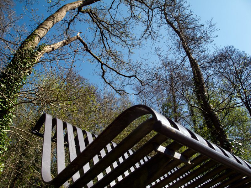 Le point de vue en photographie-Banc en métal en contre-plongée